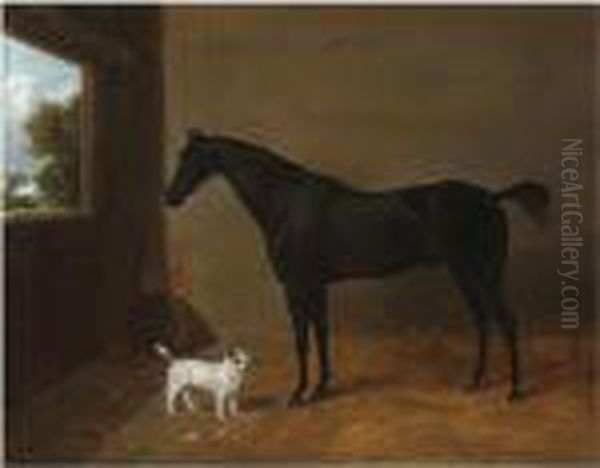 A Dark Bay Horse In A Stable Oil Painting by Richard Ansdell