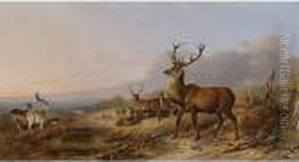 King Of The Herd Oil Painting by Richard Ansdell