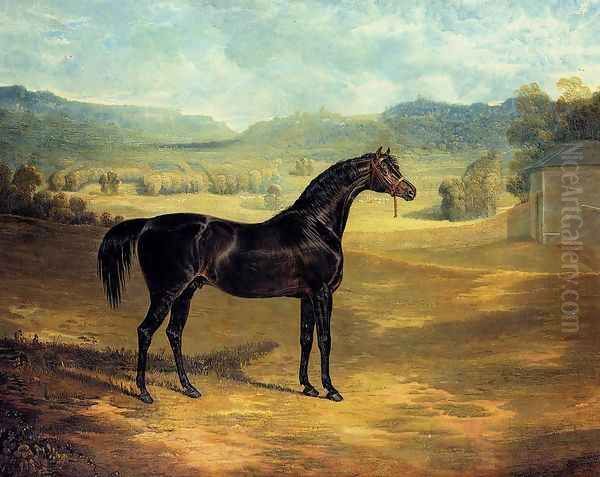 The Bay Stallion Jack Spigot Oil Painting by John Frederick Herring Snr