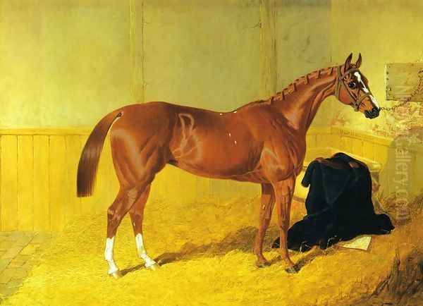 Our Nell, A Bay Racehorse in a Stable Oil Painting by John Frederick Herring Snr