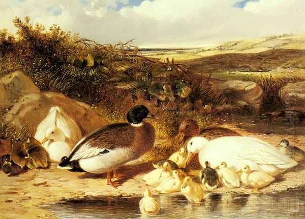 Mallard Ducks and Ducklings on a River Bank Oil Painting by John Frederick Herring Snr