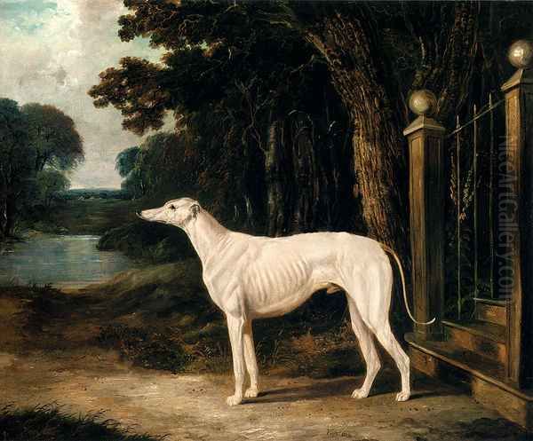 Vandeau, A White Greyhound Oil Painting by John Frederick Herring Snr