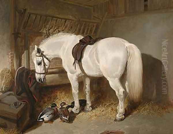 A grey pony in a stable with ducks Oil Painting by John Frederick Herring Snr