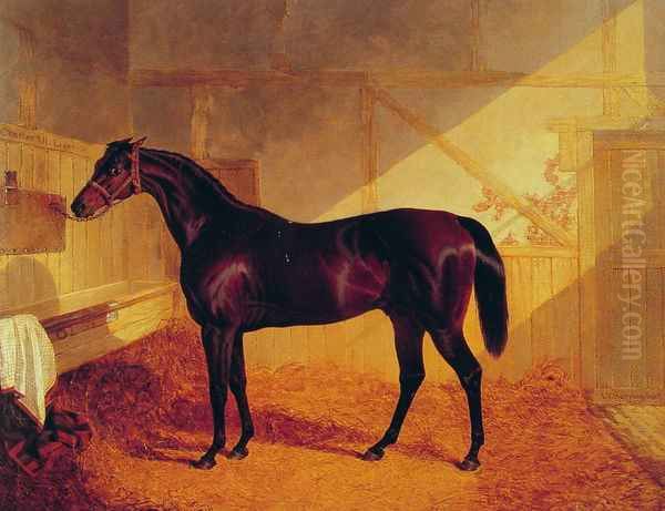 Mr Johnstone's Charles XII in a Stable Oil Painting by John Frederick Herring Snr