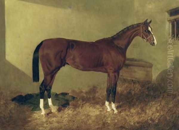 Aristides A Bay Colt 1844 Oil Painting by John Frederick Herring Snr