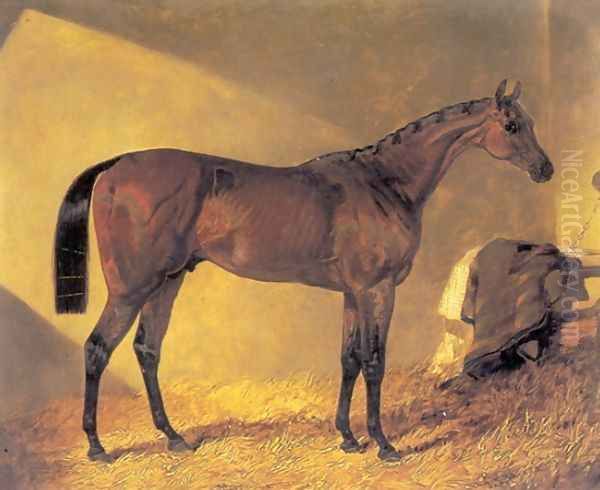 Merry Monarch in a Stall Oil Painting by John Frederick Herring Snr