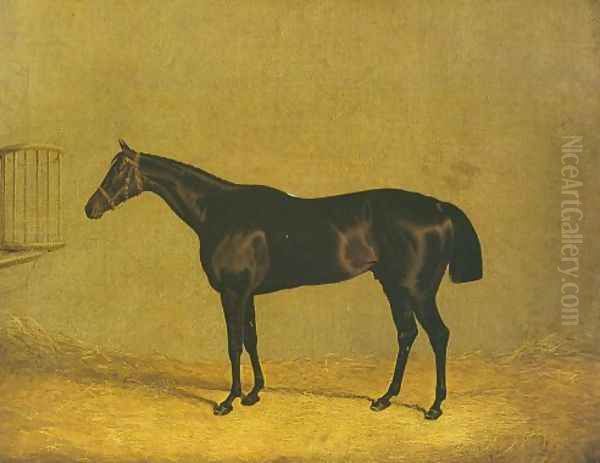 Racehorse Mulatto 1936 Oil Painting by John Frederick Herring Snr