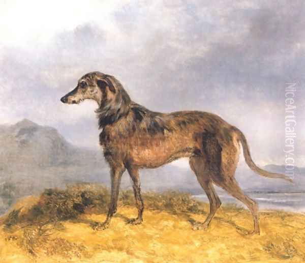 Scottish Deerhound Oil Painting by John Frederick Herring Snr