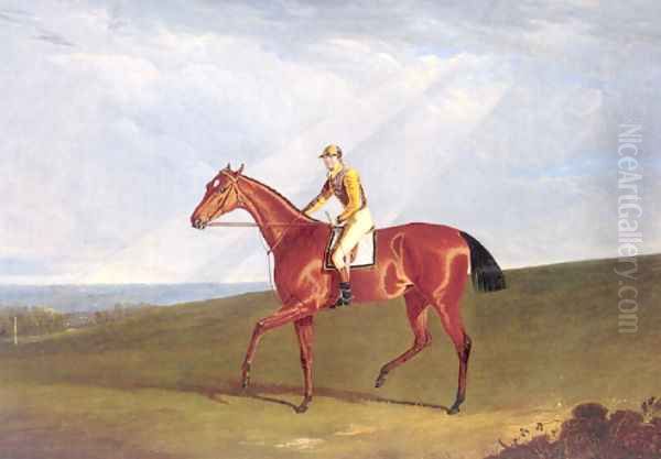 Ringlet With Jockey Up Oil Painting by John Frederick Herring Snr