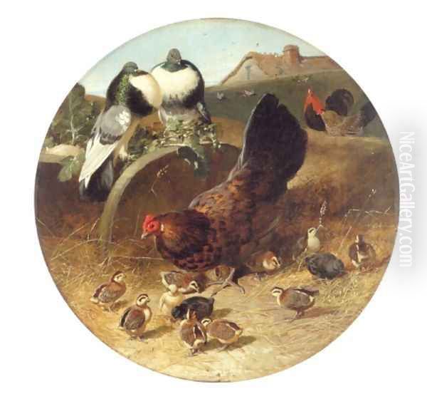 Hen With Chicks & Pigeons Oil Painting by John Frederick Herring Snr