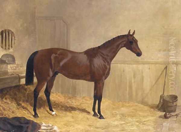 Cotherstone A Racehorse 1843 Oil Painting by John Frederick Herring Snr