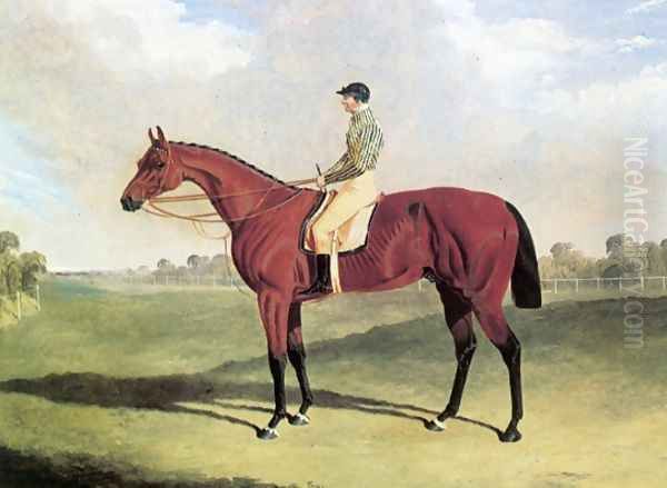 Bay Middleton With Jockey Up at Six Mile Bottom 1836 Oil Painting by John Frederick Herring Snr