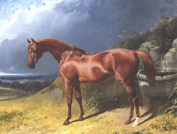 Chestnut A Racehorse Oil Painting by John Frederick Herring Snr