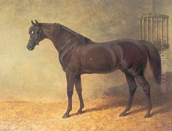 Chestnut Colt Gladiator in Stable 1844 Oil Painting by John Frederick Herring Snr