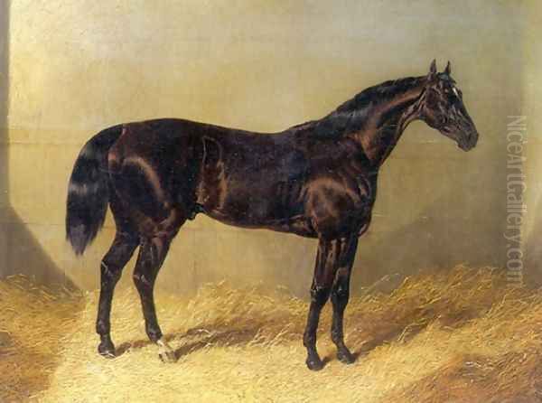 Saddler Dark Bay Racehorse in Stable Oil Painting by John Frederick Herring Snr