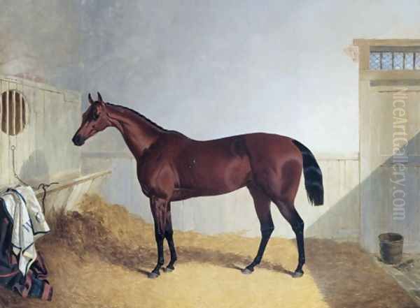 Beeswing A Dark Bay Racehorse 1842 Oil Painting by John Frederick Herring Snr