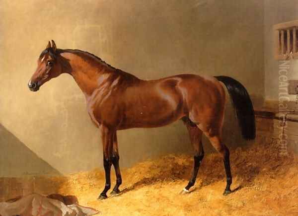 Bay Stallion in Stable Oil Painting by John Frederick Herring Snr