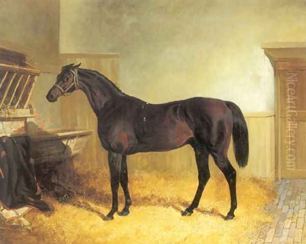 Charles XII a Brown Racehorse in a Stable Oil Painting by John Frederick Herring Snr