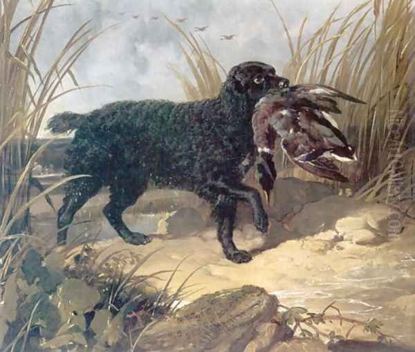 Irish Water Spaniel Retrieving a Duck Oil Painting by John Frederick Herring Snr