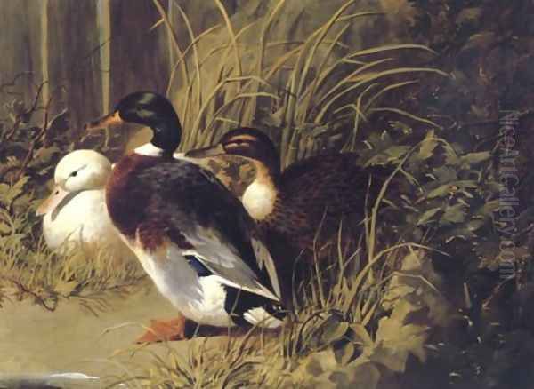 Ducks By A River Bank 1845 Oil Painting by John Frederick Herring Snr