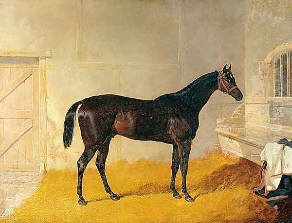 Mr. G. Blakelock's Racehorse A British Yeoman Oil Painting by John Frederick Herring Snr