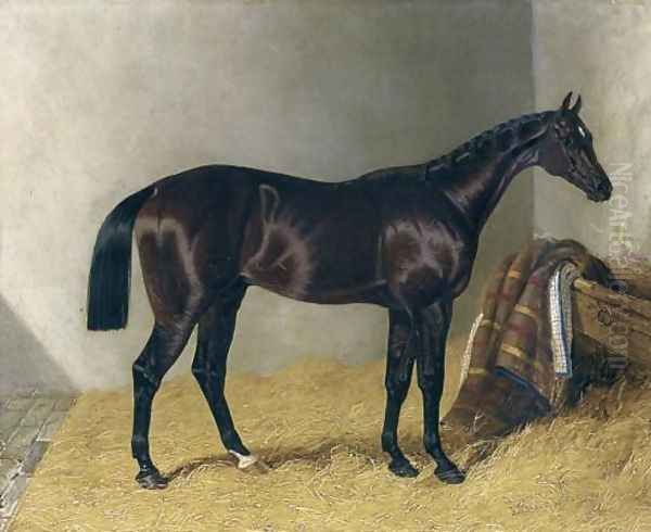 Mango In a Stable 1837 Oil Painting by John Frederick Herring Snr