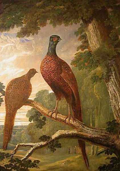 Cock and Hen Pheasant on a Roost Oil Painting by John Frederick Herring Snr