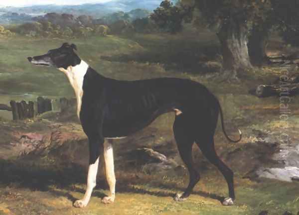 Greyhound Oil Painting by John Frederick Herring Snr