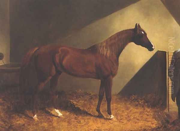 Chestnut Racehorse In Stall Oil Painting by John Frederick Herring Snr