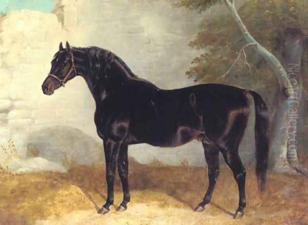 Dark Bay Racehorse in Courtyard Oil Painting by John Frederick Herring Snr