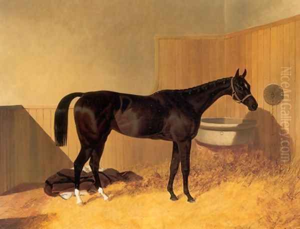 Inheritress a Racehorse 1846 Oil Painting by John Frederick Herring Snr