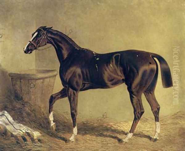 Camarine a Chestnut Racehorse in Stable Oil Painting by John Frederick Herring Snr