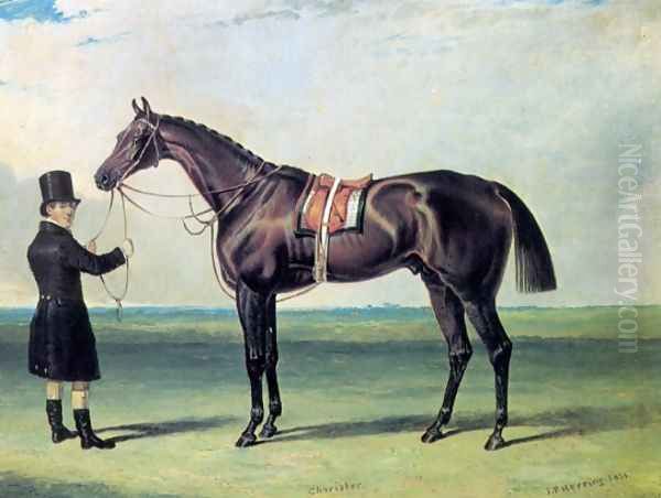 Bay Colt Chorister 1831 Oil Painting by John Frederick Herring Snr