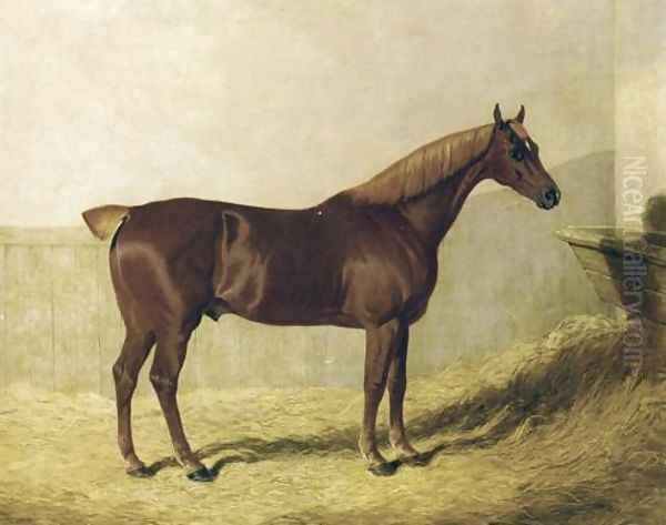 A Chestnut Horse in a Stable Oil Painting by John Frederick Herring Snr