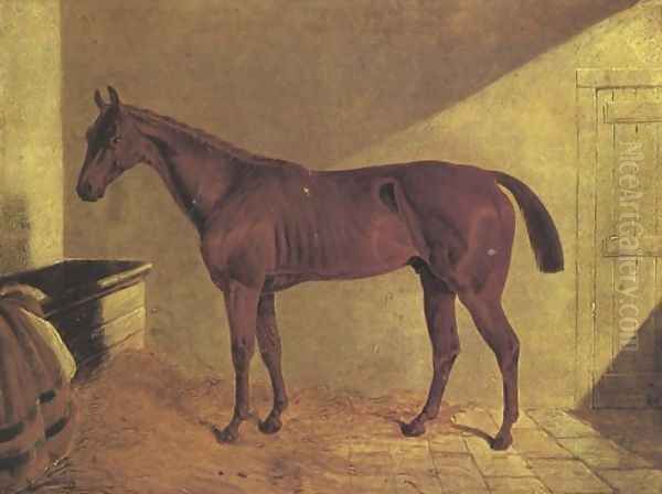 Margrave Winner St Leger 1834 Oil Painting by John Frederick Herring Snr