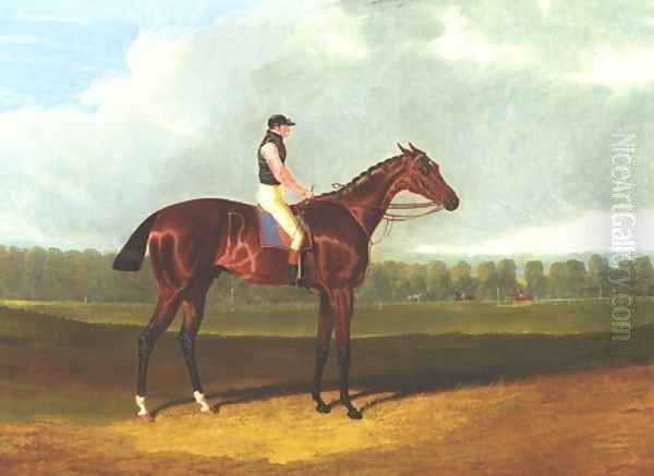 Theodore With Jockey Up Oil Painting by John Frederick Herring Snr