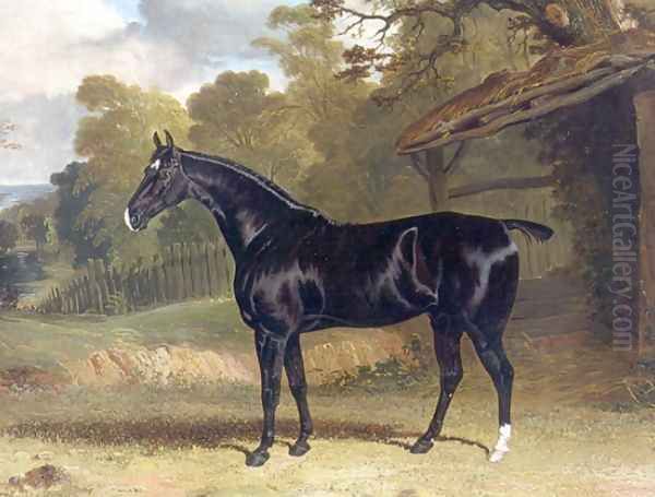 Black Tom a Black Hunter Beside a Stable 1830 Oil Painting by John Frederick Herring Snr