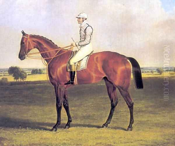 Little Wonder with Jockey Up 1840 Oil Painting by John Frederick Herring Snr