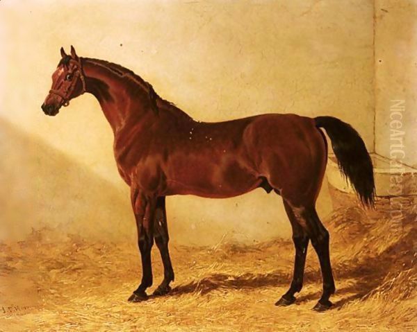 Glaucus, a bay racehorse in a stable Oil Painting by John Frederick Herring Snr