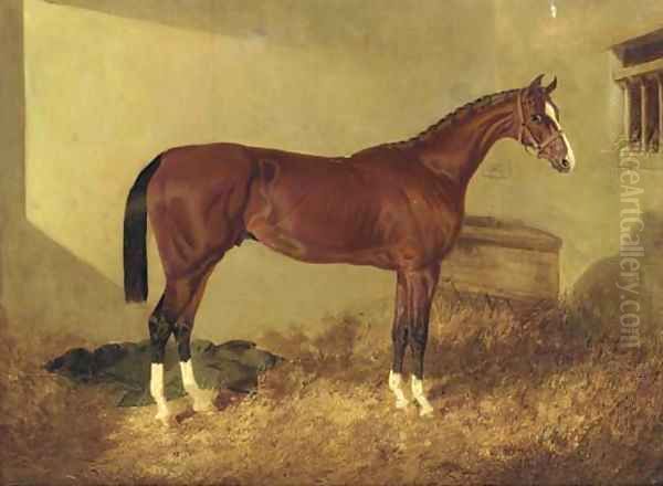 Aristides, a bay colt, in a loosebox Oil Painting by John Frederick Herring Snr