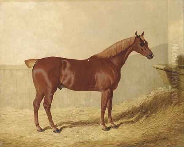 A chestnut in a stable Oil Painting by John Frederick Herring Snr