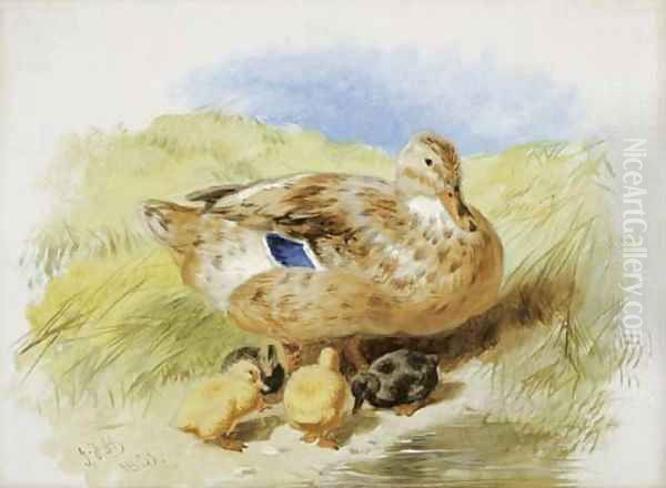 A Duck And Ducklings Oil Painting by John Frederick Herring Snr