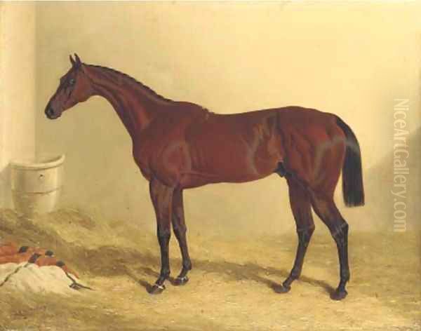 Bay Middleton, a bay racehorse in a loose box Oil Painting by John Frederick Herring Snr