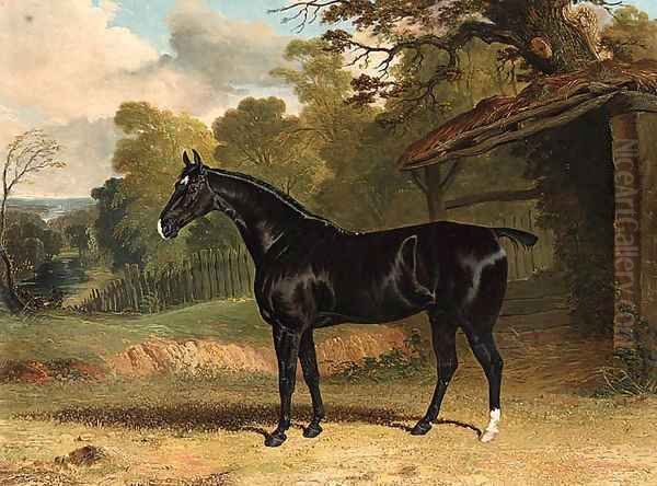 Black Tom, a black hunter, beside a stable, in a wooded river landscape Oil Painting by John Frederick Herring Snr