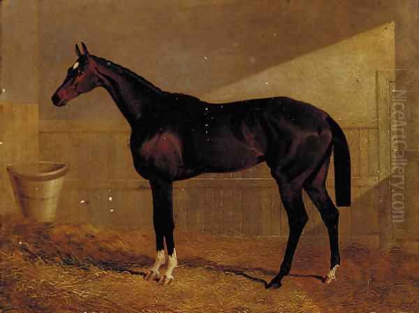 Lucetta, a bay racehorse in a stable Oil Painting by John Frederick Herring Snr