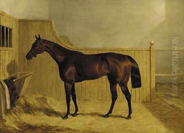 Mr Ridsdale's Bloomsbury, winner of the 1839 Derby, in a stable Oil Painting by John Frederick Herring Snr