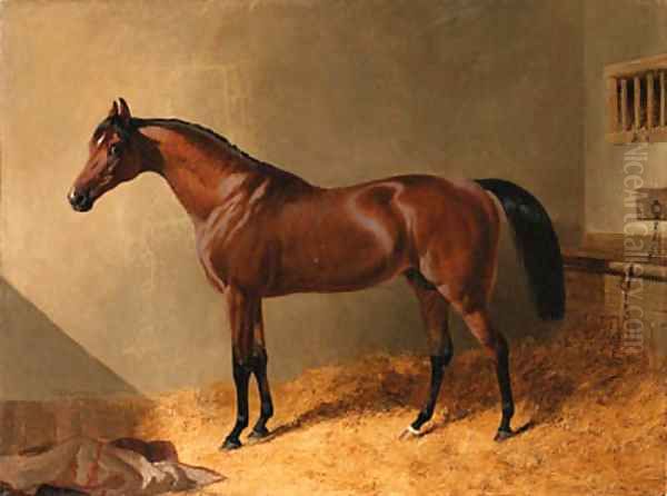 Pacolet, A Bay Stallion, in a Stable Oil Painting by John Frederick Herring Snr