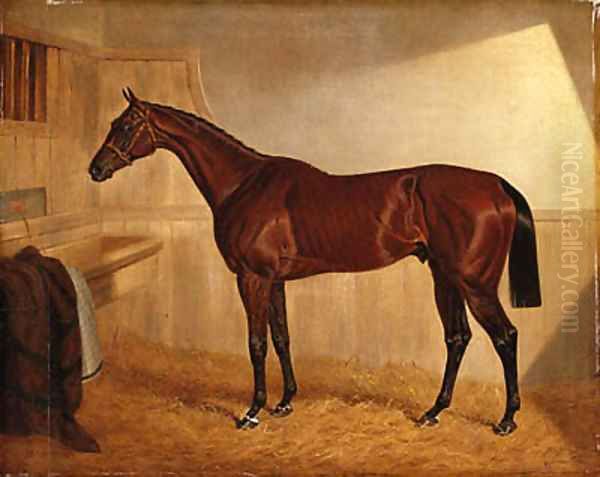 Lord Jersey's Bay Middleton in a Stable Oil Painting by John Frederick Herring Snr