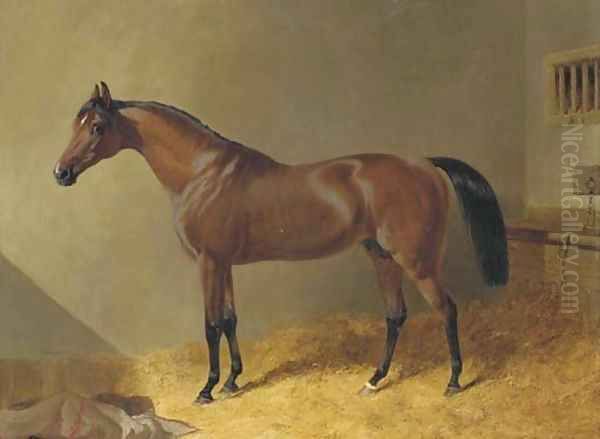 Pacelot, a bay stallion, in a stable Oil Painting by John Frederick Herring Snr