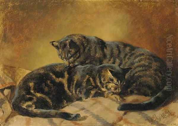 Two cats Oil Painting by John Frederick Herring Snr